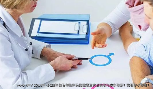 2025年自贡市哪家医院做第三代试管婴儿成功率高？需要多少费用？