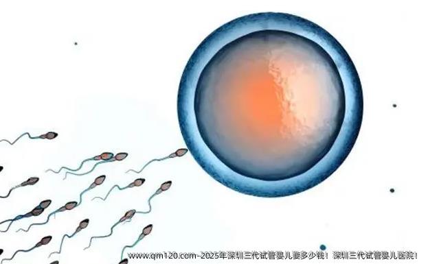 2025年深圳三代试管婴儿要多少钱！深圳三代试管婴儿医院！