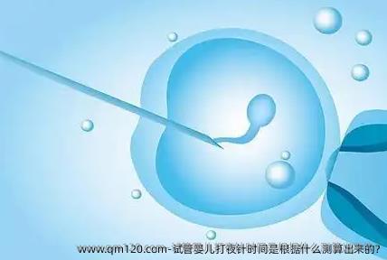 试管婴儿打夜针时间是根据什么测算出来的?