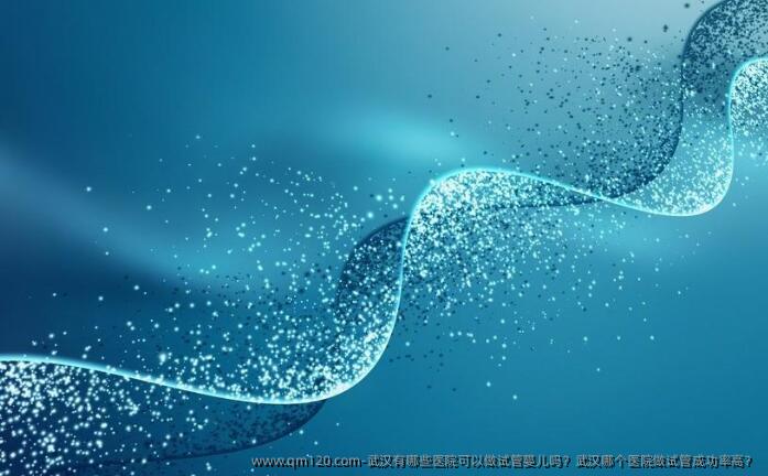 武汉有哪些医院可以做试管婴儿吗?武汉哪个医院做试管成功率高?