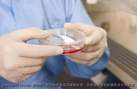 昆明两个男的做试管成功率有多高，云南做试管的步骤和成功率解读