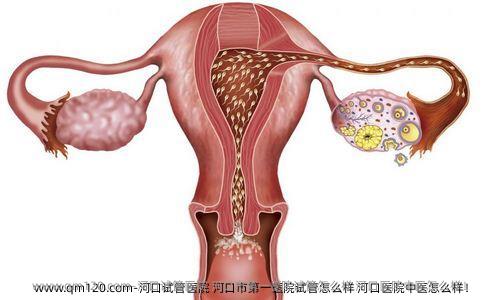 河口试管医院 河口市第一医院试管怎么样 河口医院中医怎么样！