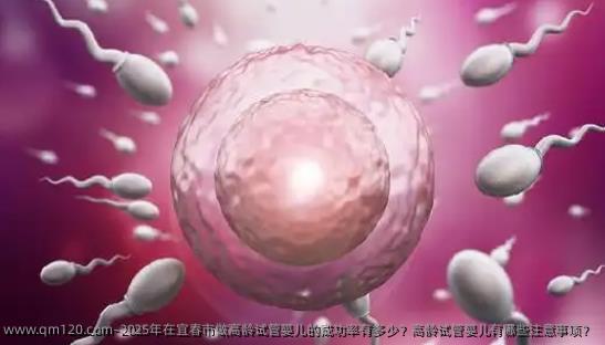 2025年在宜春市做高龄试管婴儿的成功率有多少？高龄试管婴儿有哪些注意事项？
