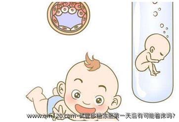 试管移植冻胚第一天后有可能着床吗?