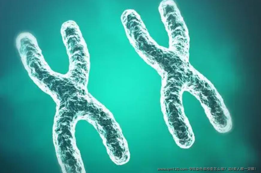 孕前染色体检查怎么做？这4类人群一定做！