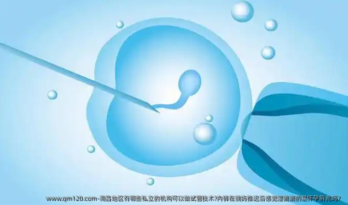 南昌地区有哪些私立的机构可以做试管技术?内裤在姨妈推迟后感觉湿漉漉的是怀孕前兆吗？