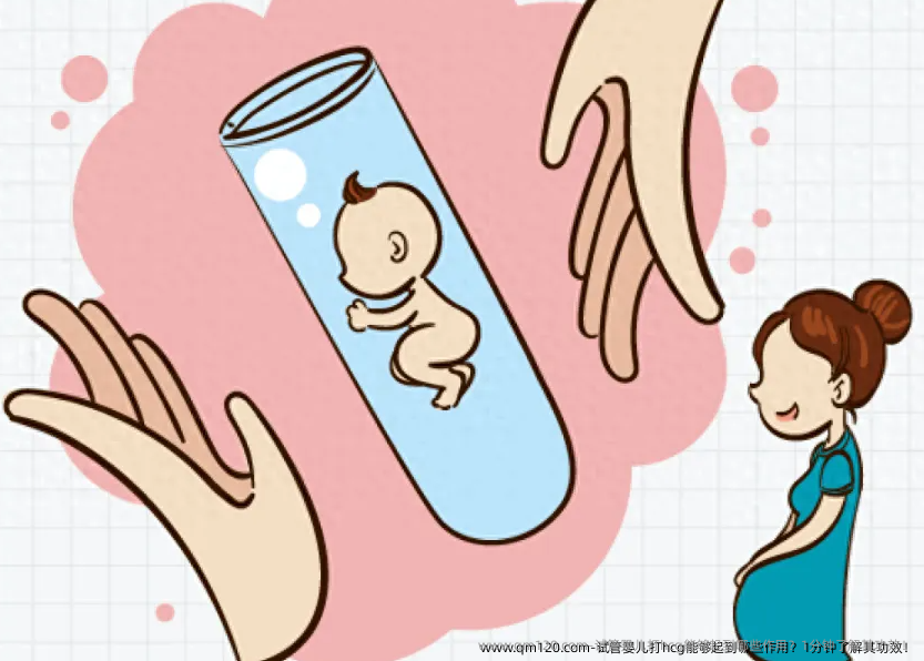 试管婴儿打hcg能够起到哪些作用？1分钟了解其功效！