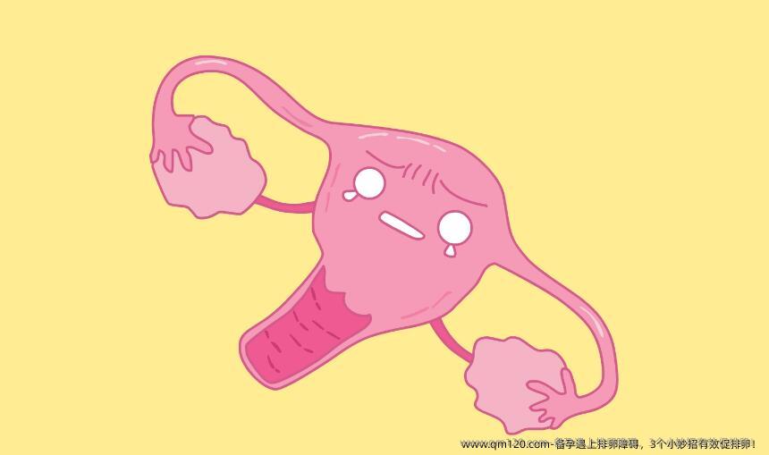 备孕遇上排卵障碍，3个小妙招有效促排卵！