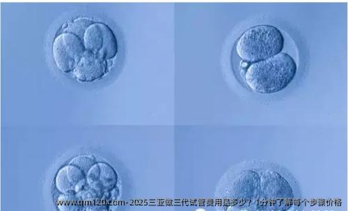 2025三亚做三代试管费用是多少？1分钟了解每个步骤价格