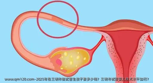 2025年在三明市做试管生孩子要多少钱？三明市试管婴儿技术水平如何？