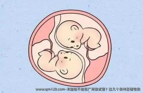 未婚能不能在广州做试管？这几个条件是硬性的