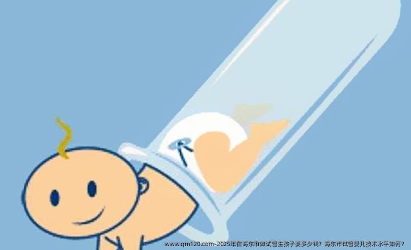 2025年在海东市做试管生孩子要多少钱？海东市试管婴儿技术水平如何？