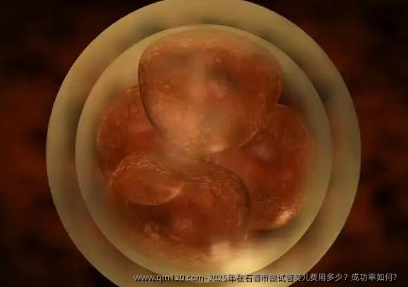 2025年在石首市做试管婴儿费用多少？成功率如何？