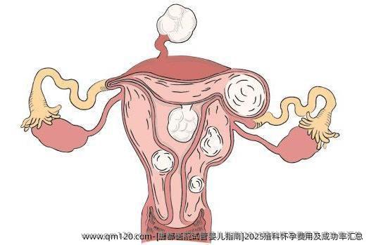[唐都医院试管婴儿指南]2025殖科怀孕费用及成功率汇总