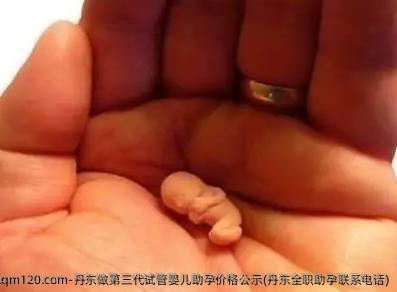 丹东做第三代试管婴儿助孕价格公示(丹东全职助孕联系电话)