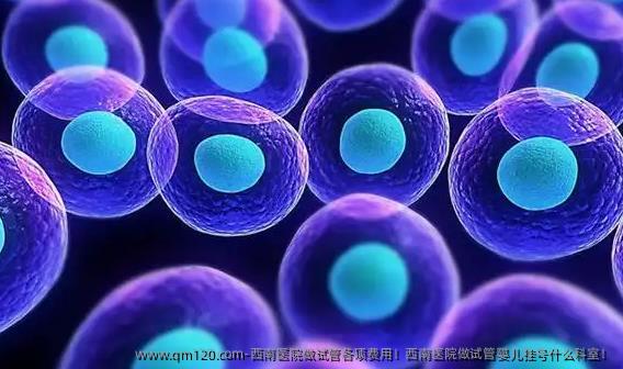 西南医院做试管各项费用！西南医院做试管婴儿挂号什么科室！