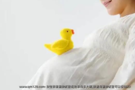 女性卵巢囊肿试管成功率有多大啊,卵巢有囊肿试管可以促排吗！