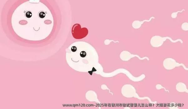 2025年在银川市做试管婴儿怎么样？大概要花多少钱？