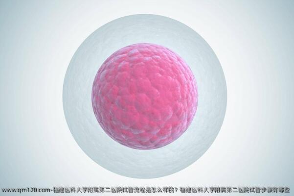 福建医科大学附属第二医院试管流程是怎么样的？福建医科大学附属第二医院试管步骤有哪些