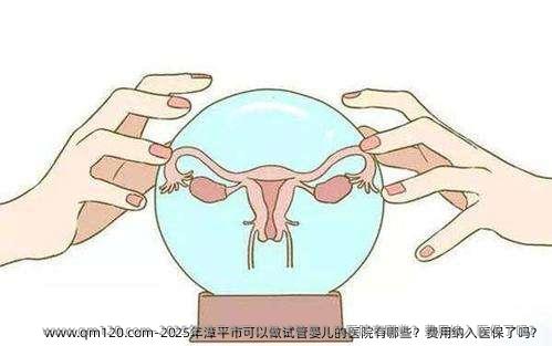 2025年漳平市可以做试管婴儿的医院有哪些？费用纳入医保了吗？