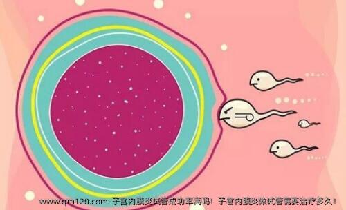 子宫内膜炎试管成功率高吗！子宫内膜炎做试管需要治疗多久！