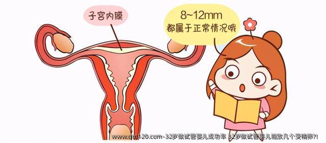32岁做试管婴儿成功率 32岁做试管婴儿能放几个受精卵?！