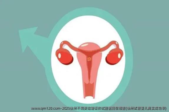 2025徐州不需要结婚证的试管医院在哪里(徐州试管婴儿真实成功率)