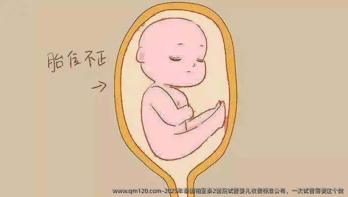 2025年泰国帕亚泰2医院试管婴儿收费标准公布，一次试管需要这个数