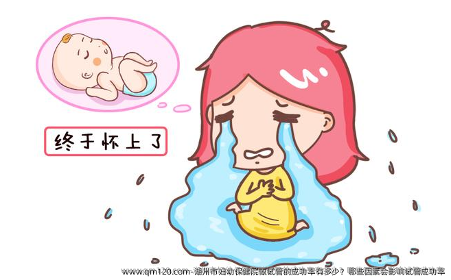 湖州市妇幼保健院做试管的成功率有多少？哪些因素会影响试管成功率