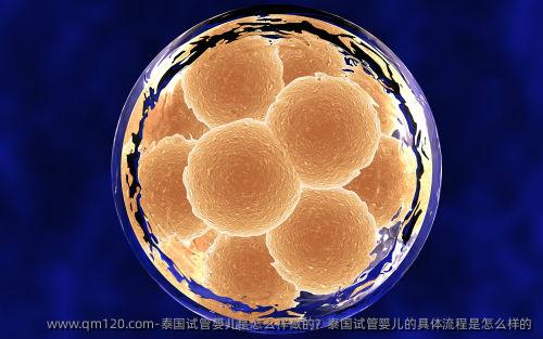 泰国试管婴儿是怎么样做的？泰国试管婴儿的具体流程是怎么样的