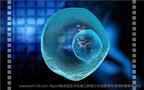Alport综合征在河北省二院做三代试管避免遗传的概率有多大