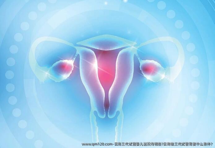 云南三代试管婴儿医院有哪些?云南做三代试管需要什么条件?