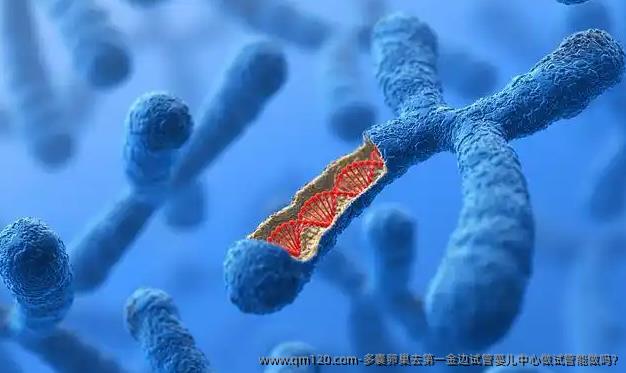 多囊卵巢去第一金边试管婴儿中心做试管能做吗?
