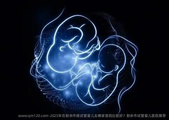2025年在新余市做试管婴儿去哪家医院比较好？新余市试管婴儿医院推荐