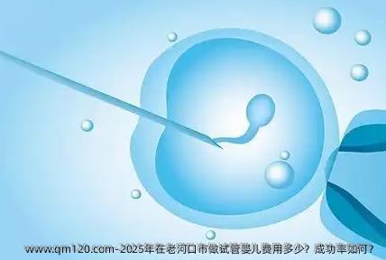 2025年在老河口市做试管婴儿费用多少？成功率如何？