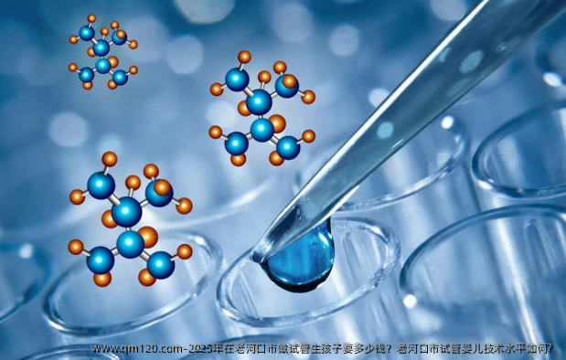 2025年在老河口市做试管生孩子要多少钱？老河口市试管婴儿技术水平如何？