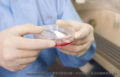 重度宫腔粘连做一代试管婴儿成功的概率有多高？