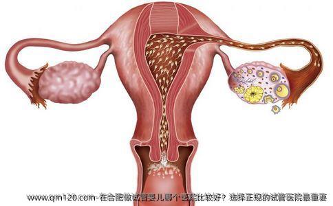 在合肥做试管婴儿哪个医院比较好？选择正规的试管医院最重要