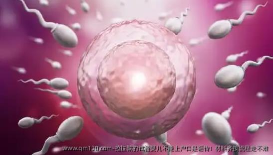拉拉做的试管婴儿不能上户口是谣传！材料齐按流程走不难