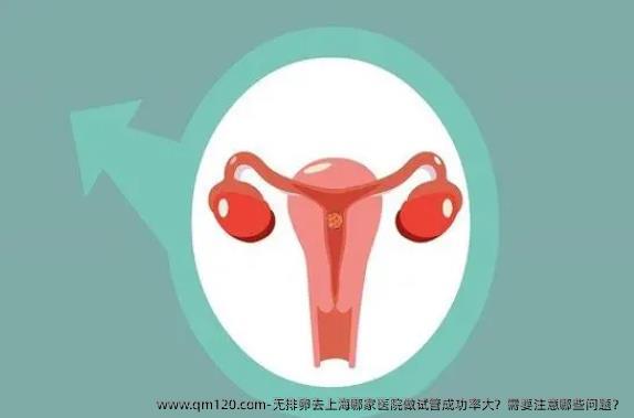 无排卵去上海哪家医院做试管成功率大？需要注意哪些问题？