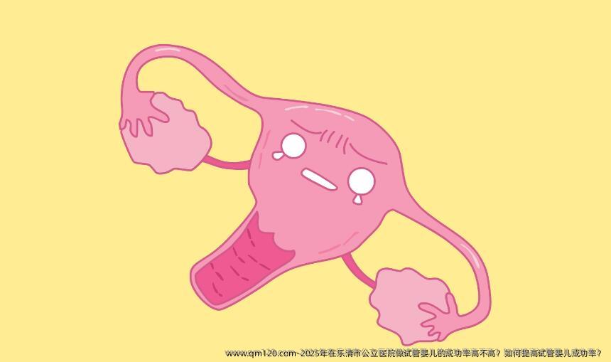 2025年在乐清市公立医院做试管婴儿的成功率高不高？如何提高试管婴儿成功率？
