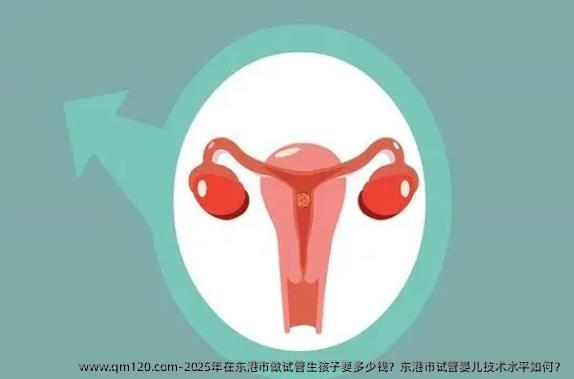 2025年在东港市做试管生孩子要多少钱？东港市试管婴儿技术水平如何？