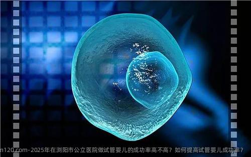 2025年在浏阳市公立医院做试管婴儿的成功率高不高？如何提高试管婴儿成功率？