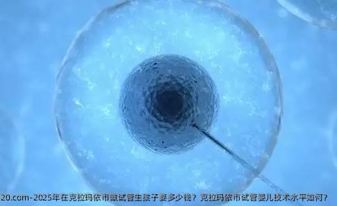 2025年在克拉玛依市做试管生孩子要多少钱？克拉玛依市试管婴儿技术水平如何？