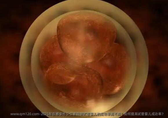 2025年在雅安市公立医院做试管婴儿的成功率高不高？如何提高试管婴儿成功率？