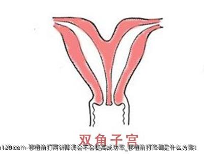 移植前打两针降调会不会提高成功率_移植前打降调是什么方案！