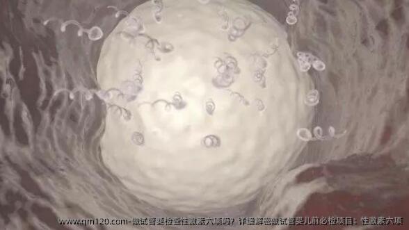 做试管要检查性激素六项吗？详细解密做试管婴儿前必检项目：性激素六项