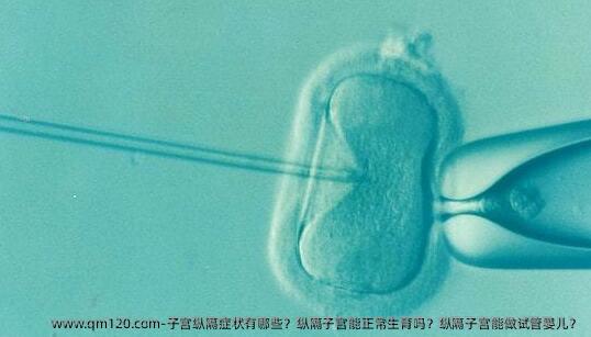 子宫纵隔症状有哪些？纵隔子宫能正常生育吗？纵隔子宫能做试管婴儿？