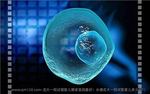 吉大一院试管婴儿哪家医院较好！长春吉大一院试管婴儿多少钱?！