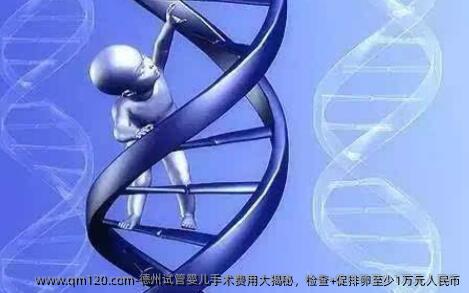 德州试管婴儿手术费用大揭秘，检查+促排卵至少1万元人民币